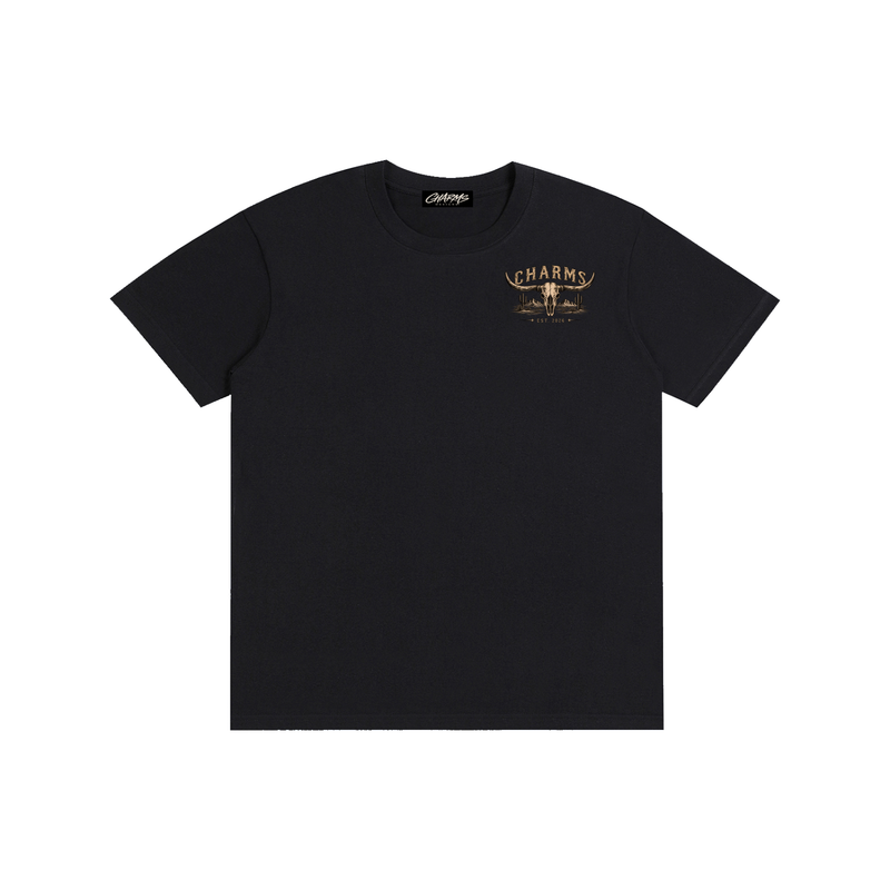 Last Rodeo simplistic T-Shirt