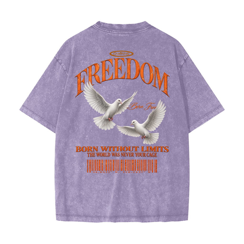 Freedom Heavyweight Snow Washed T-Shirt