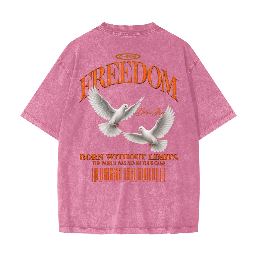 Freedom Heavyweight Snow Washed T-Shirt