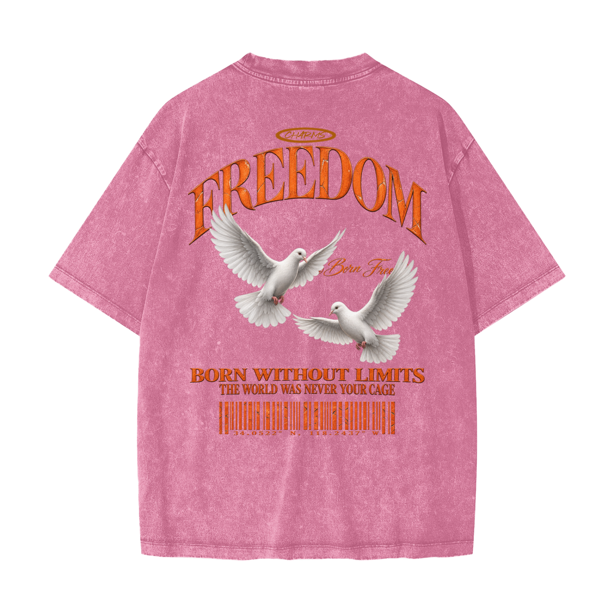 Freedom Heavyweight Snow Washed T-Shirt
