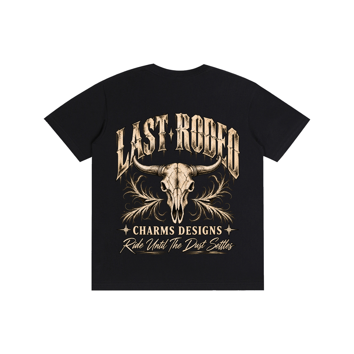 Last Rodeo simplistic T-Shirt