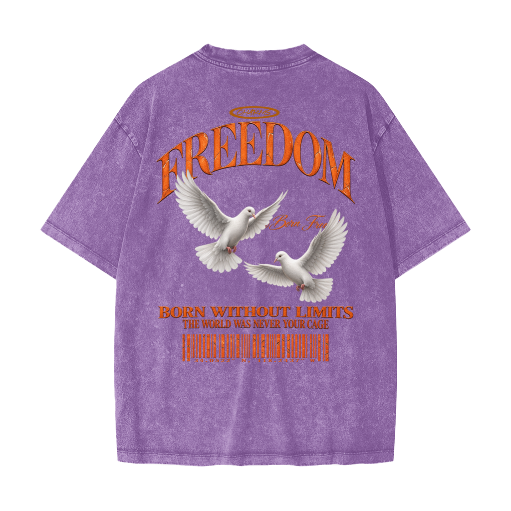 Freedom Heavyweight Snow Washed T-Shirt