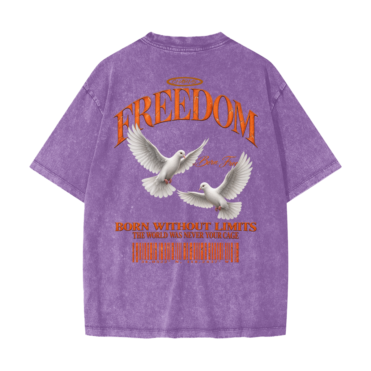Freedom Heavyweight Snow Washed T-Shirt