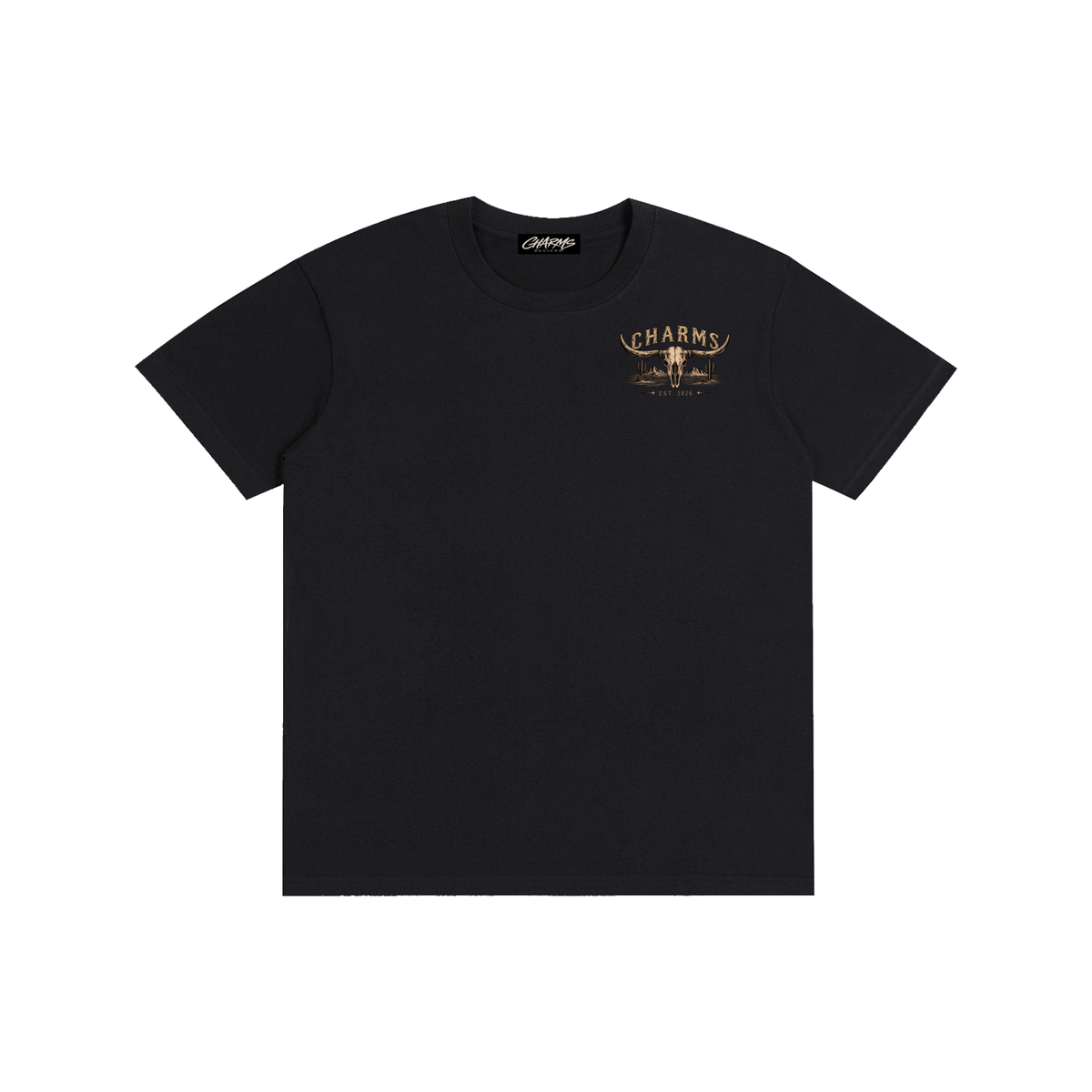 Last Rodeo simplistic T-Shirt