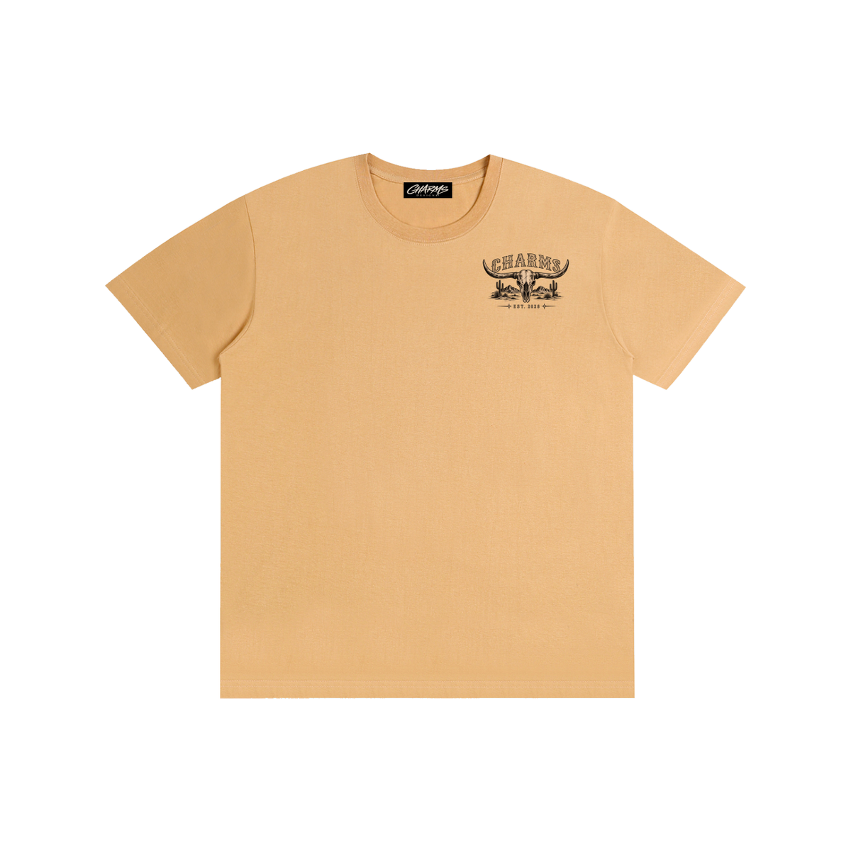 Last Rodeo simplistic T-Shirt