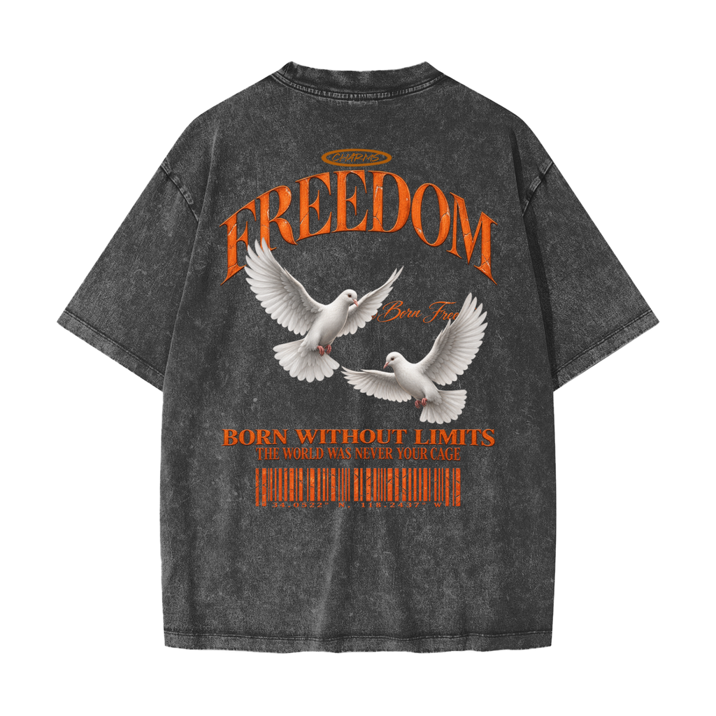 Freedom Heavyweight Snow Washed T-Shirt