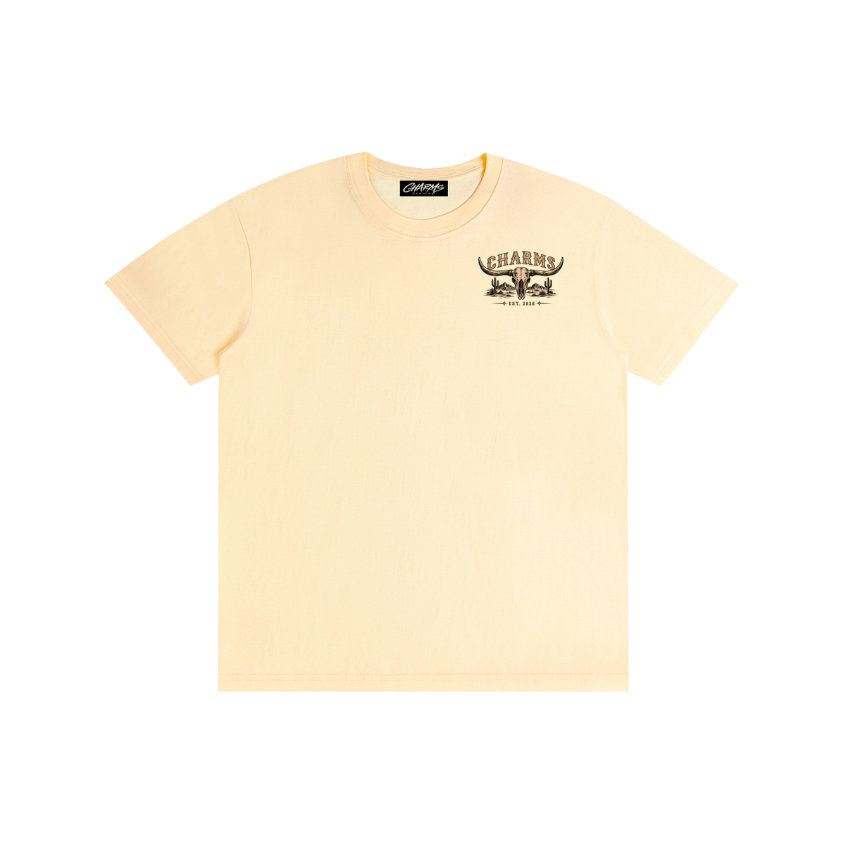 Last Rodeo simplistic T-Shirt
