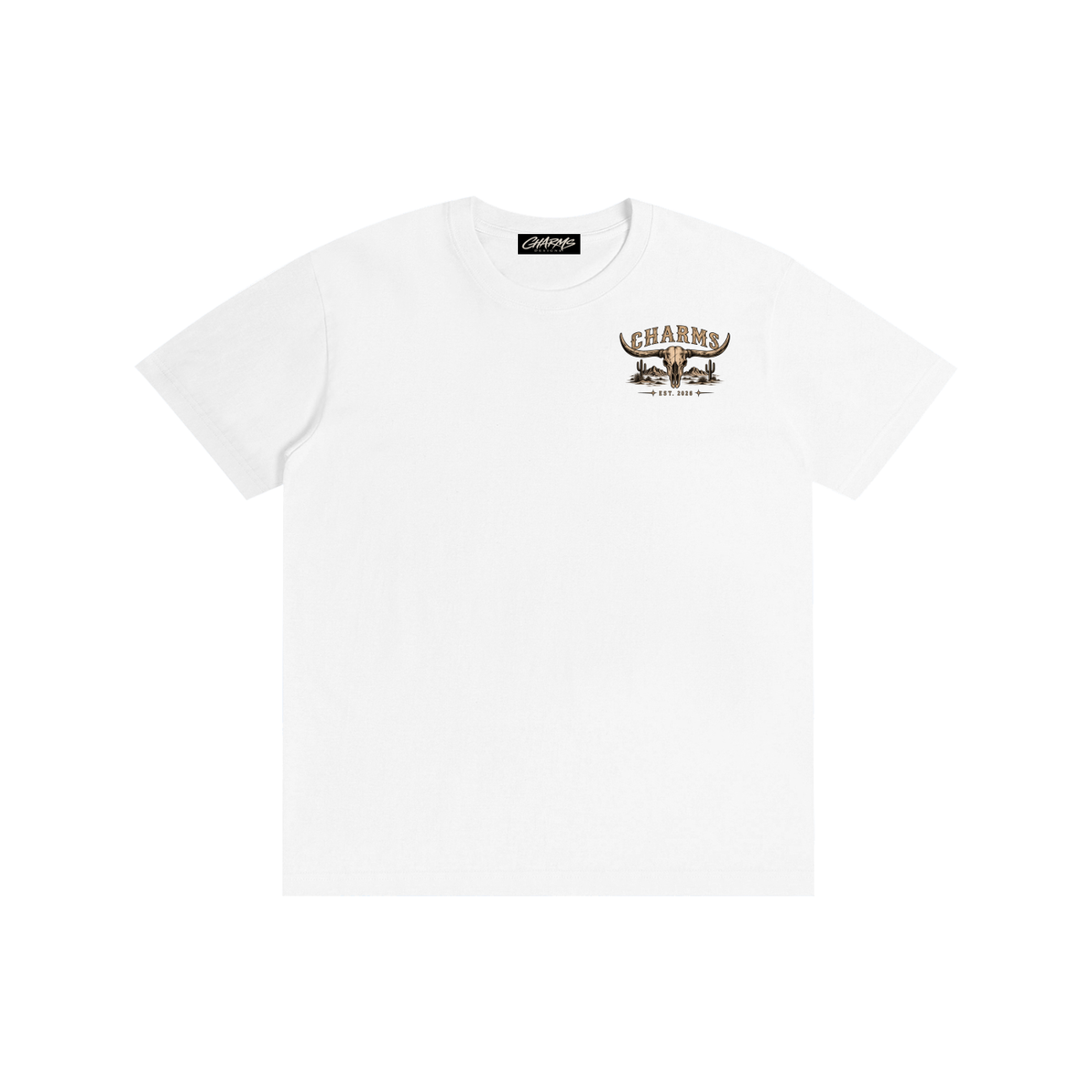 Last Rodeo simplistic T-Shirt